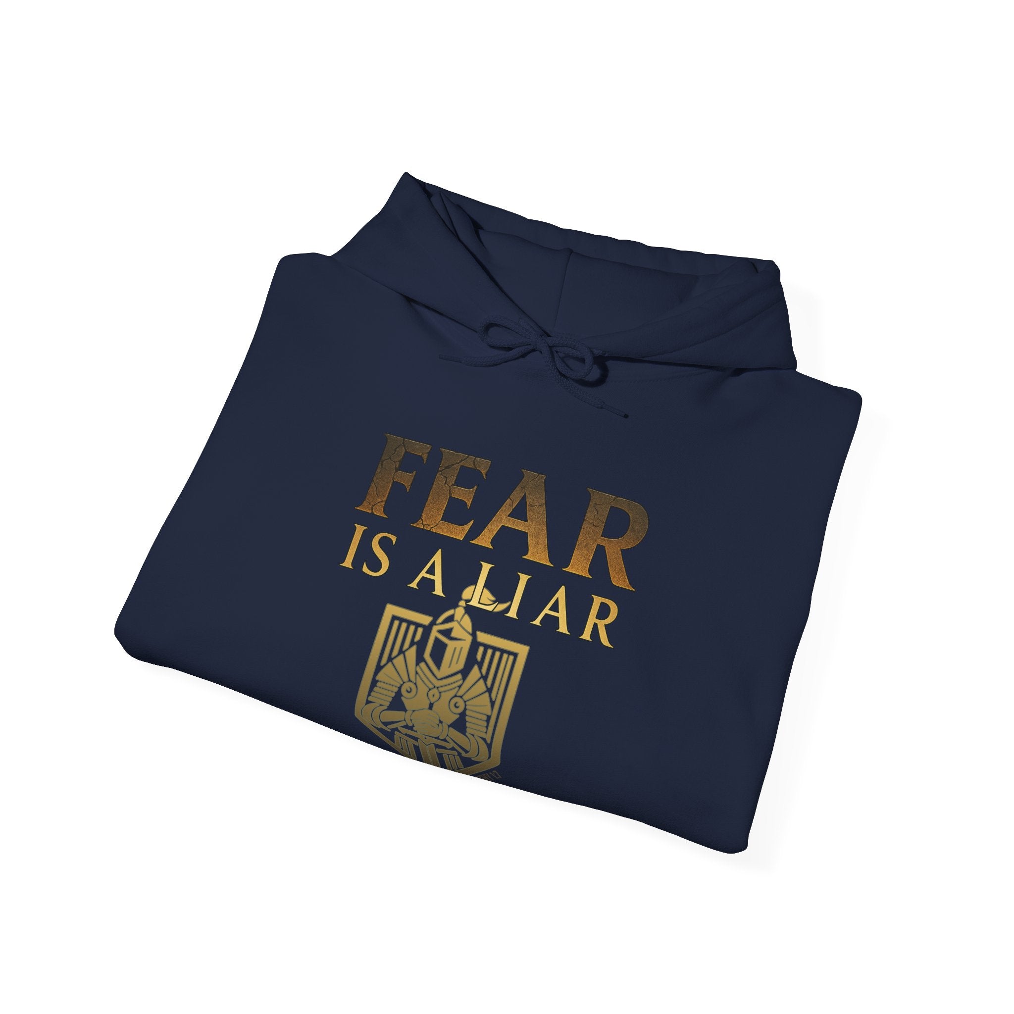 Fear Is A Liar Hoodie, Christian Encouragement Hoodie, Faith Over Fear Hoodie, Christian Hoodie for Women, Inspirational Gift, Redeemed Faith Apparel
