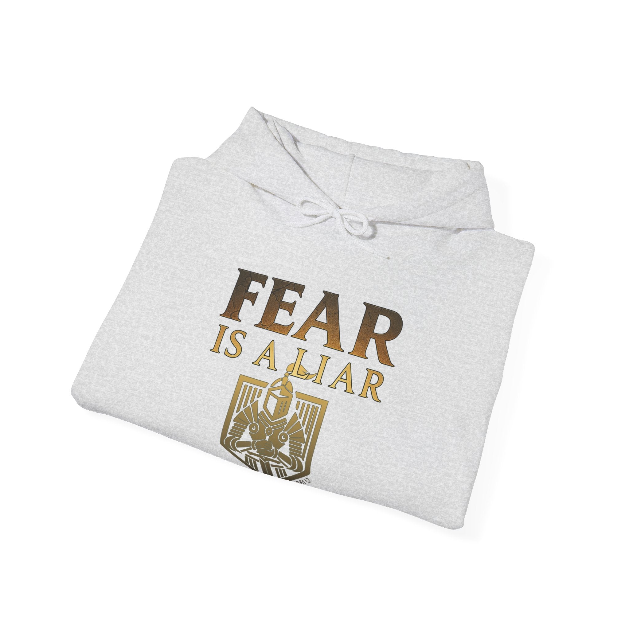 Fear Is A Liar Hoodie, Christian Encouragement Hoodie, Faith Over Fear Hoodie, Christian Hoodie for Women, Inspirational Gift, Redeemed Faith Apparel