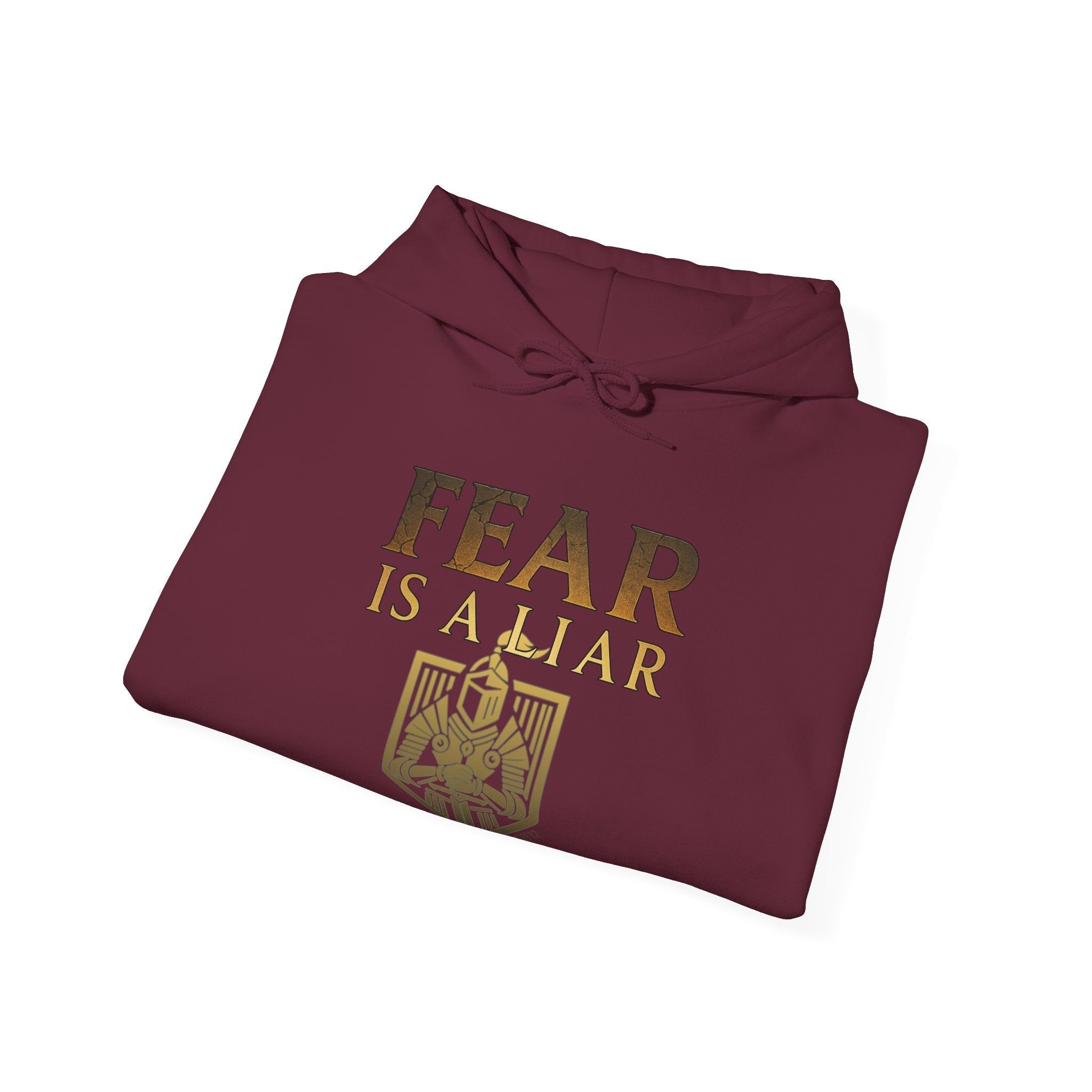 Fear Is A Liar Hoodie, Christian Encouragement Hoodie, Faith Over Fear Hoodie, Christian Hoodie for Women, Inspirational Gift, Redeemed Faith Apparel