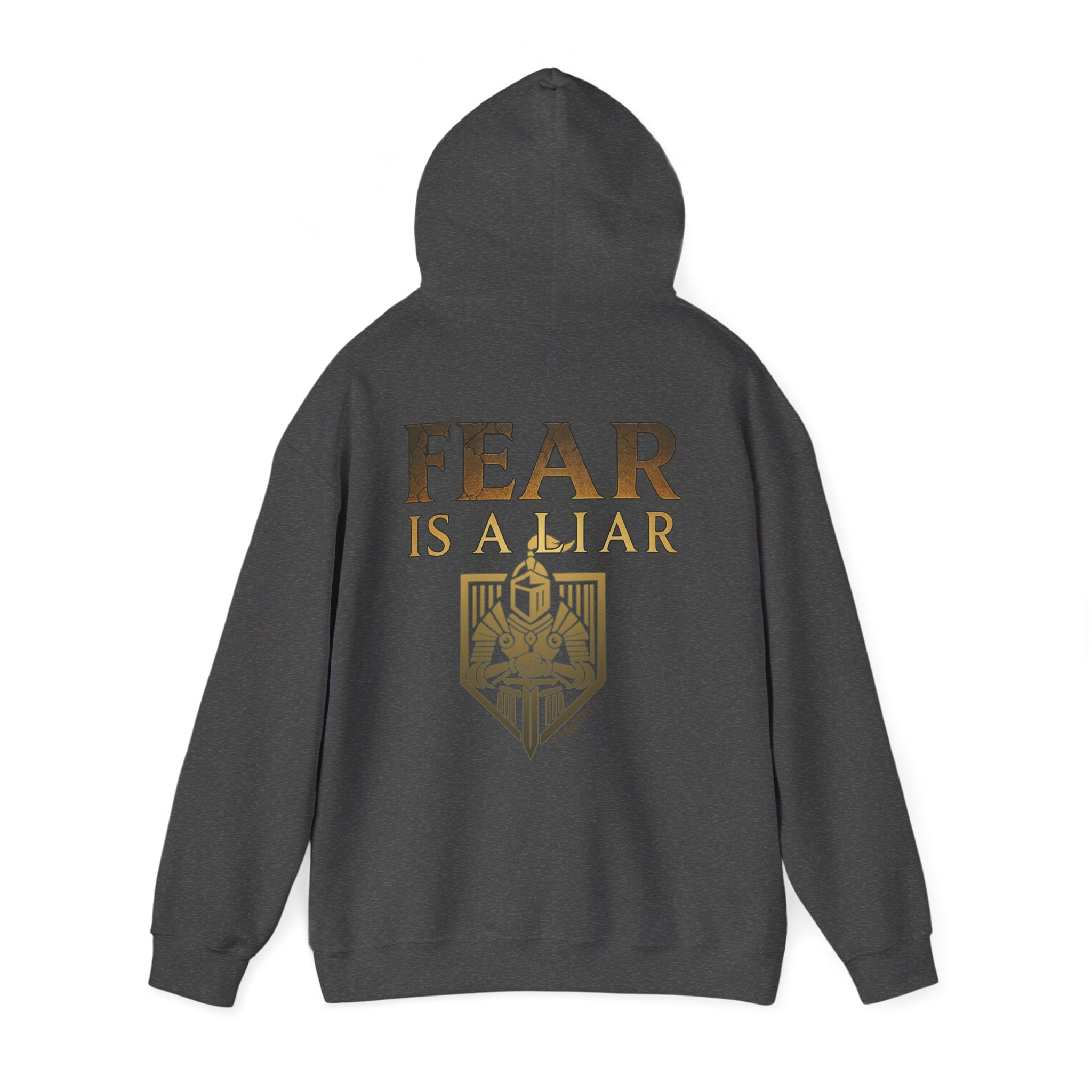 Fear Is a Liar Hoodie - 2 Timothy 1:7, Warrior of Faith, Motivational Heavy Blend Sweatshirt for Adults, Cozy Casual Wear, Christian Apparel