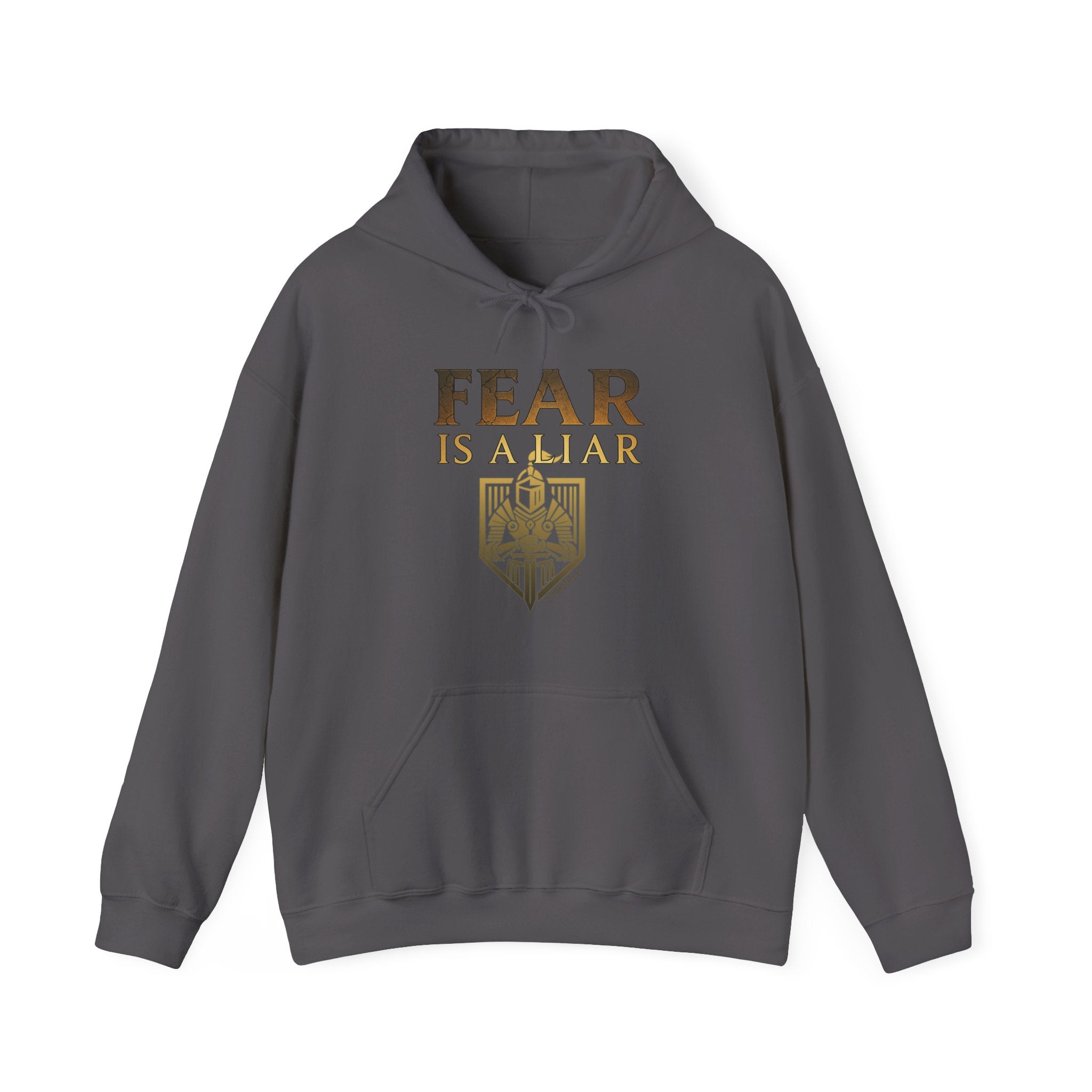 Fear Is A Liar Hoodie, Christian Encouragement Hoodie, Faith Over Fear Hoodie, Christian Hoodie for Women, Inspirational Gift, Redeemed Faith Apparel