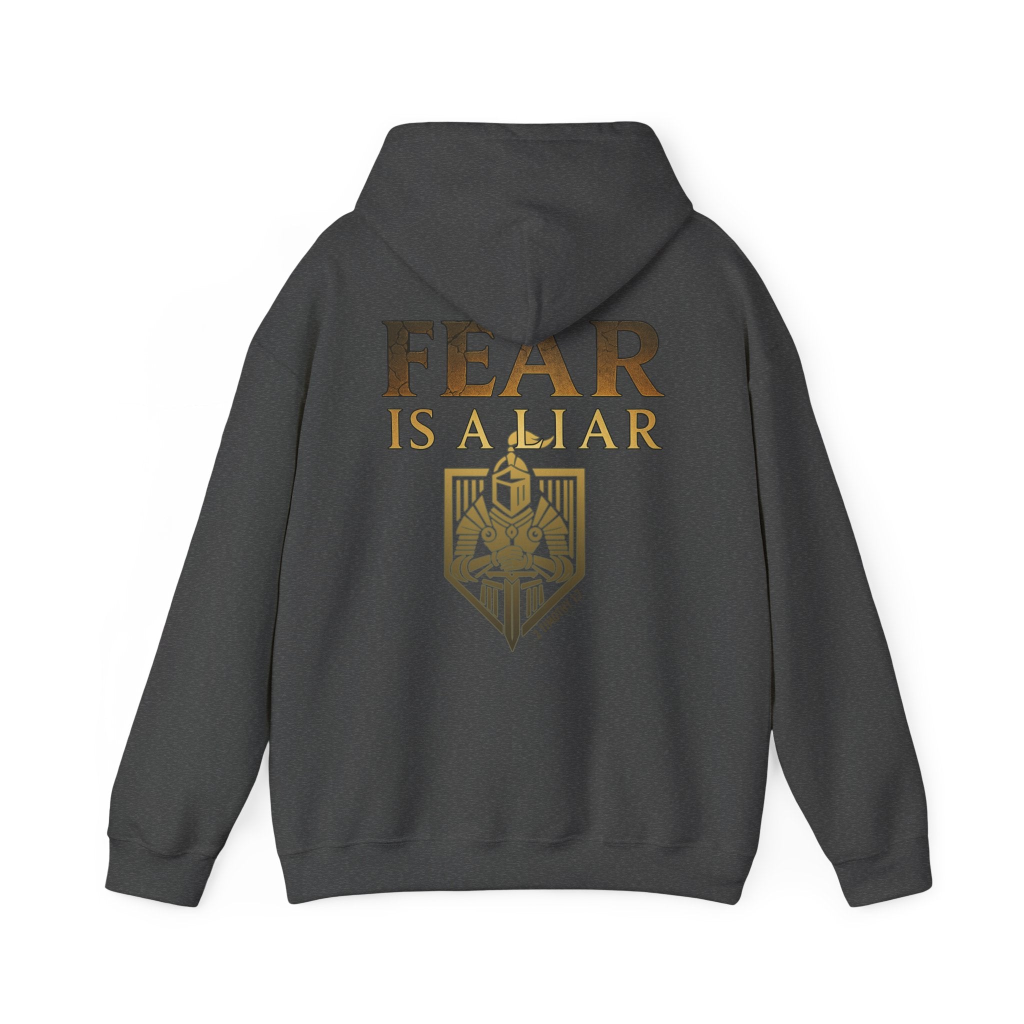 Fear Is a Liar Hoodie - 2 Timothy 1:7, Warrior of Faith, Motivational Heavy Blend Sweatshirt for Adults, Cozy Casual Wear, Christian Apparel