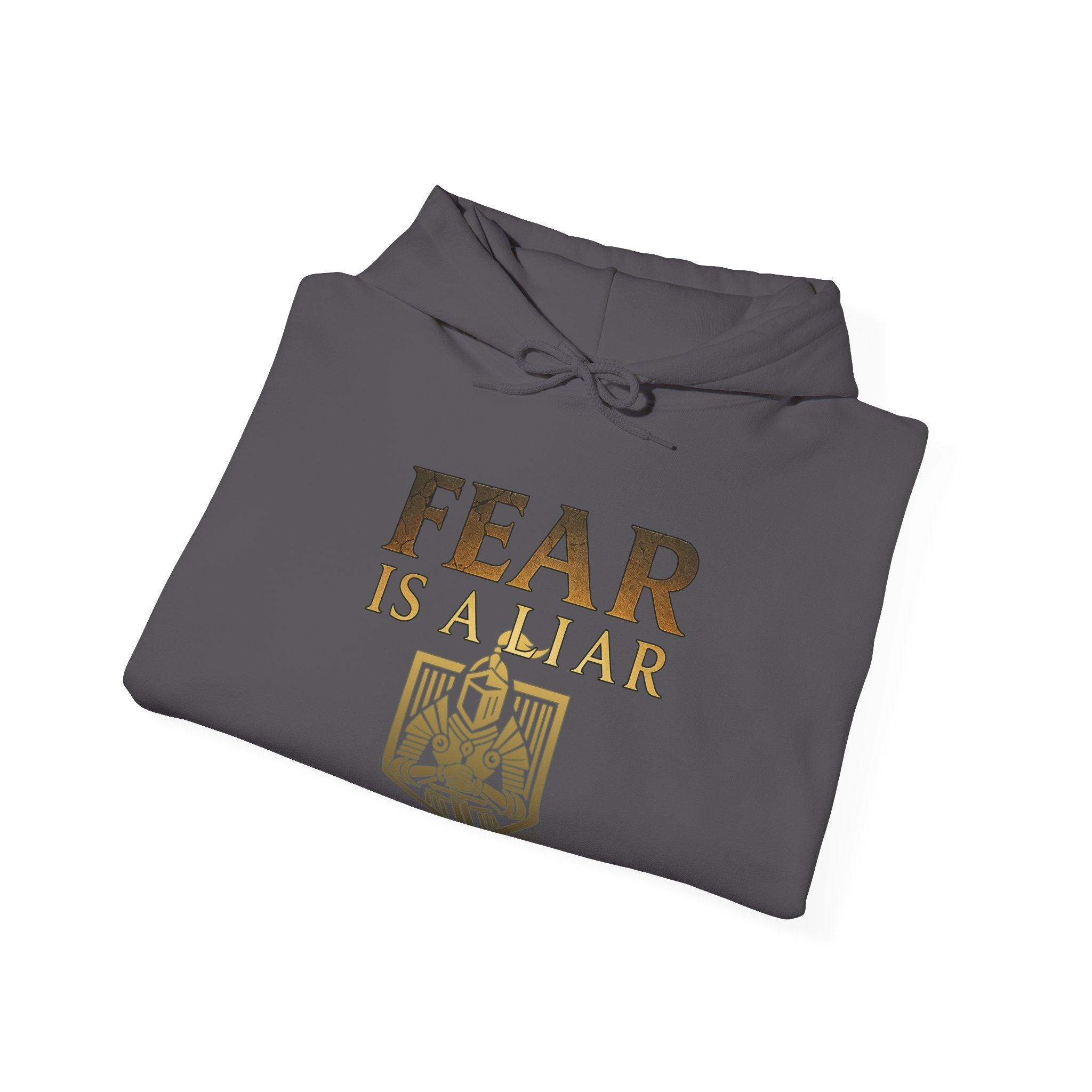 Fear Is A Liar Hoodie, Christian Encouragement Hoodie, Faith Over Fear Hoodie, Christian Hoodie for Women, Inspirational Gift, Redeemed Faith Apparel