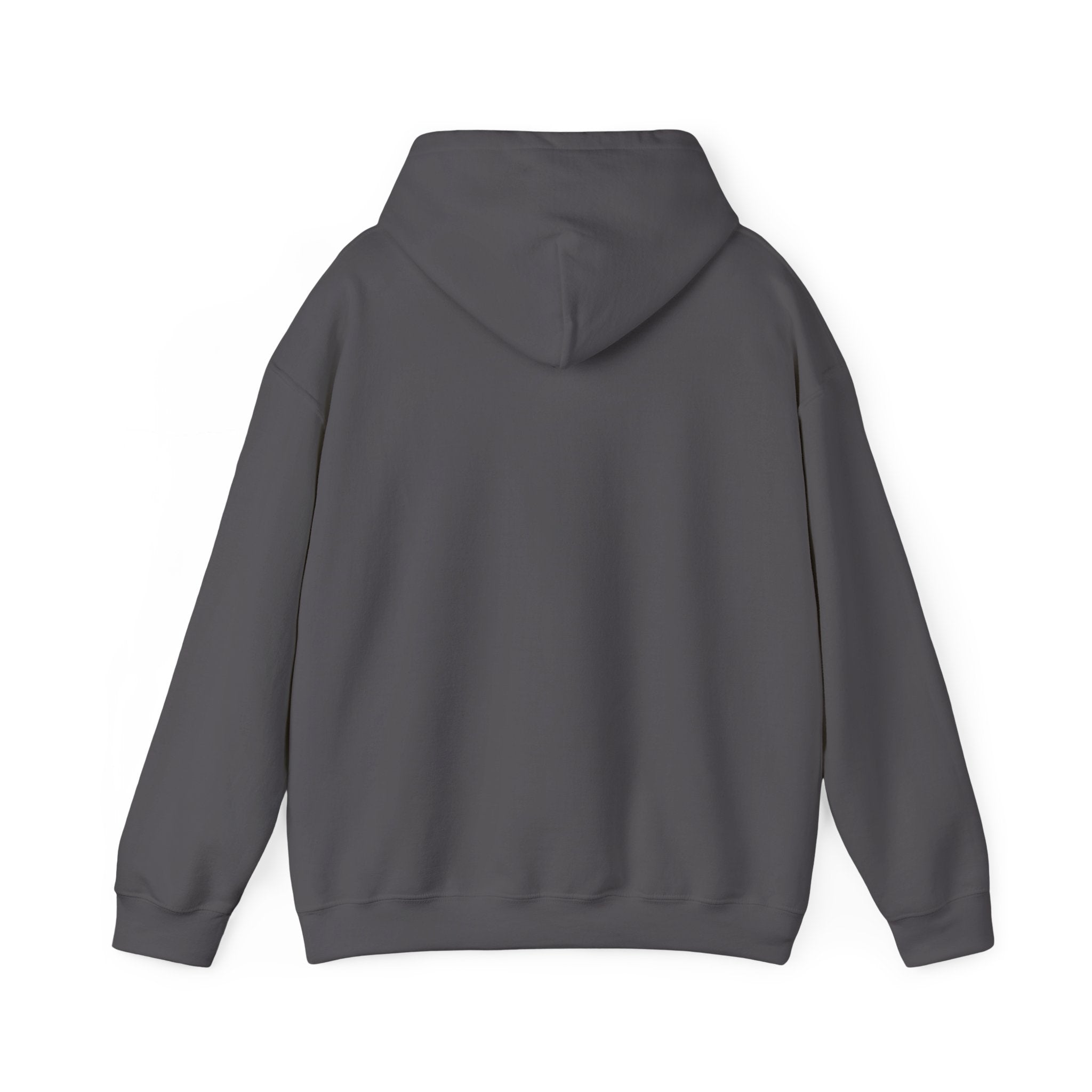 Praise The Lord Hoodie, Psalm 150:6 Christian Hoodie, As Long As Im Breathing Faith Hoodie, Worship Hoodie, Christian Gift, Redeemed Faith Apparel