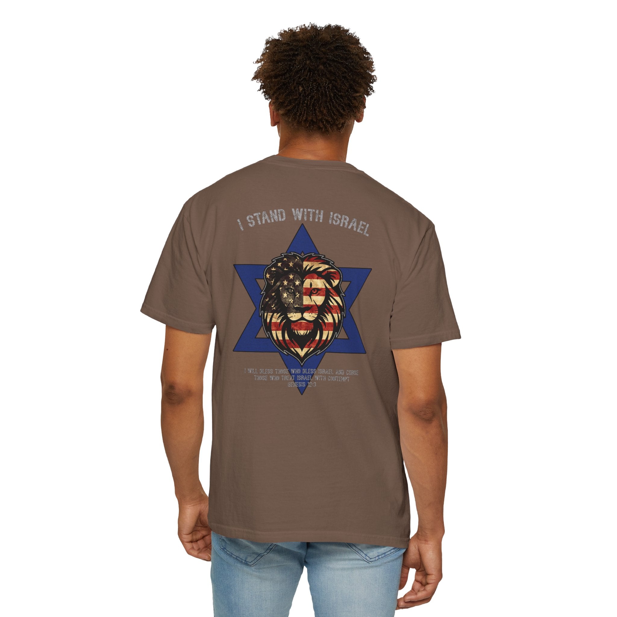 I Stand With Israel Christian Shirt, Genesis 12:3 T-Shirt, Lion of Judah Israel Shirt, Christian Patriot Shirt, Redeemed Faith Apparel