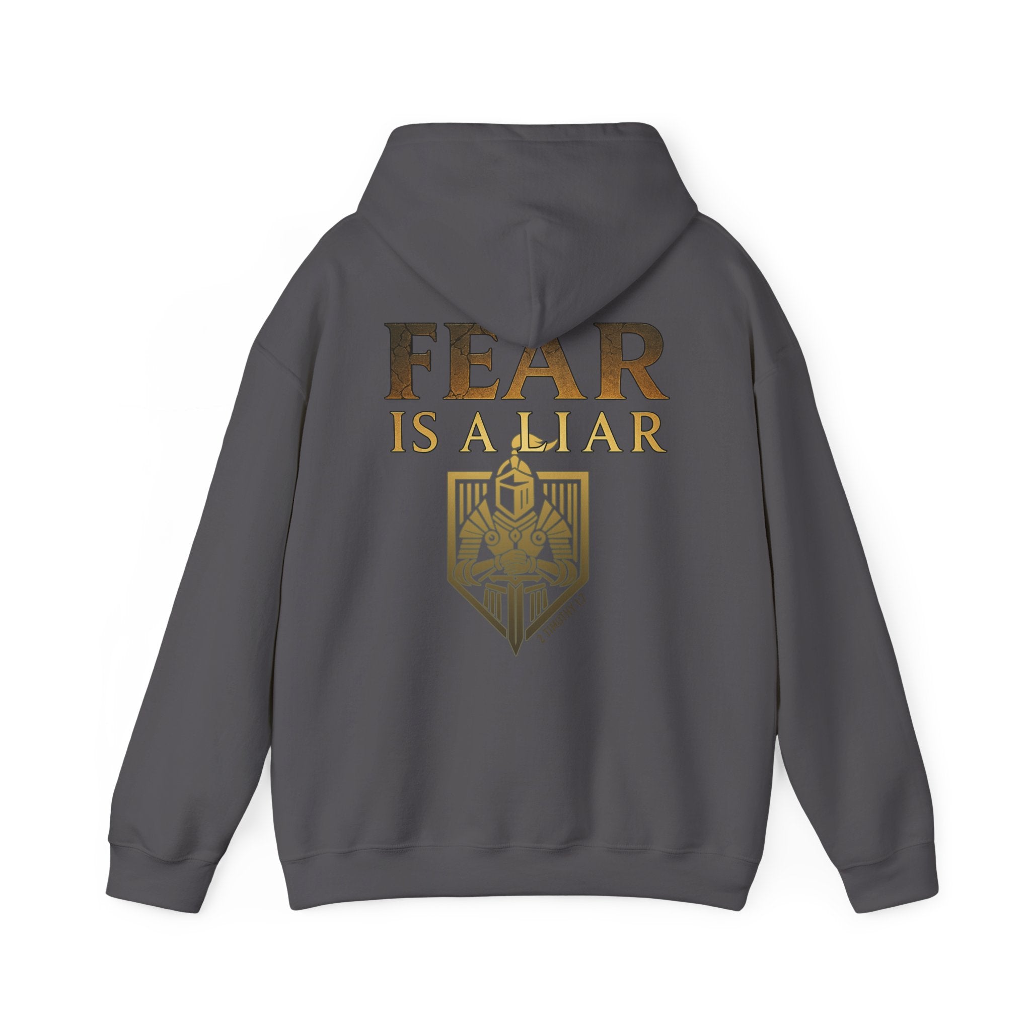 Fear Is a Liar Hoodie - 2 Timothy 1:7, Warrior of Faith, Motivational Heavy Blend Sweatshirt for Adults, Cozy Casual Wear, Christian Apparel