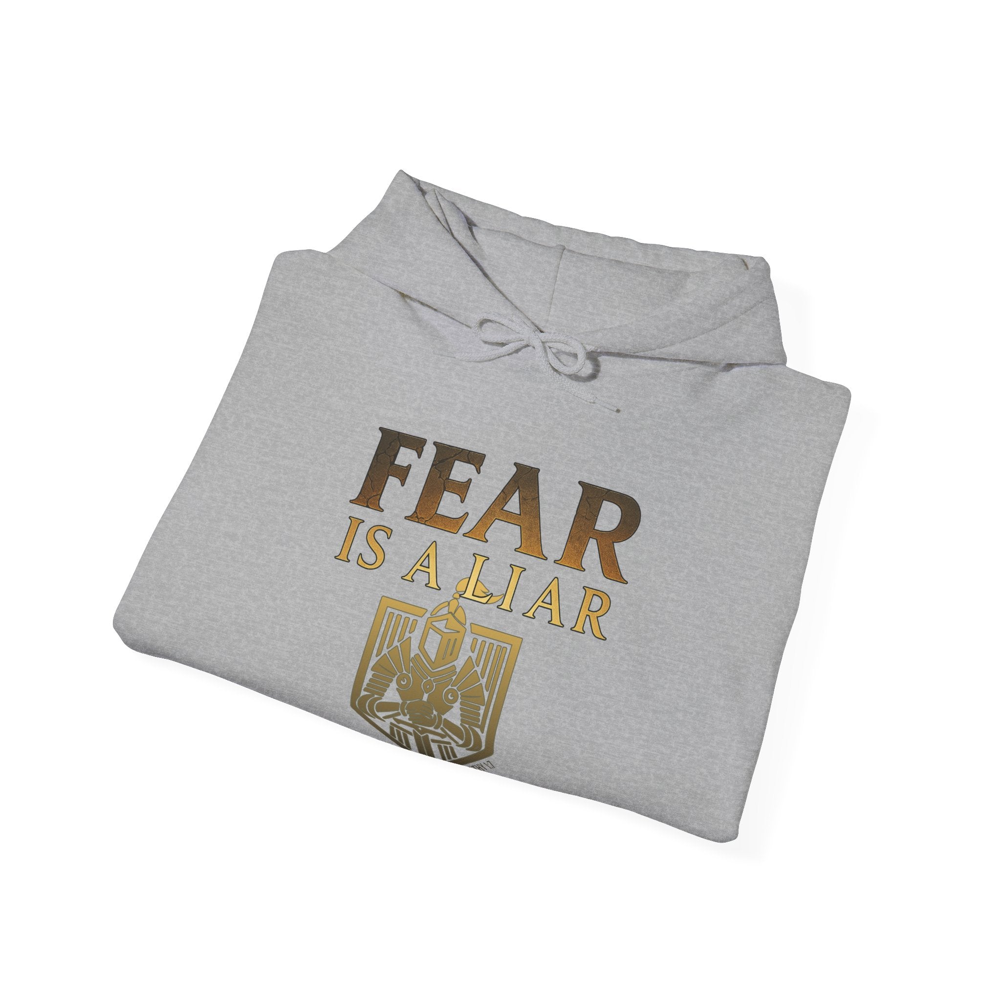 Fear Is A Liar Hoodie, Christian Encouragement Hoodie, Faith Over Fear Hoodie, Christian Hoodie for Women, Inspirational Gift, Redeemed Faith Apparel