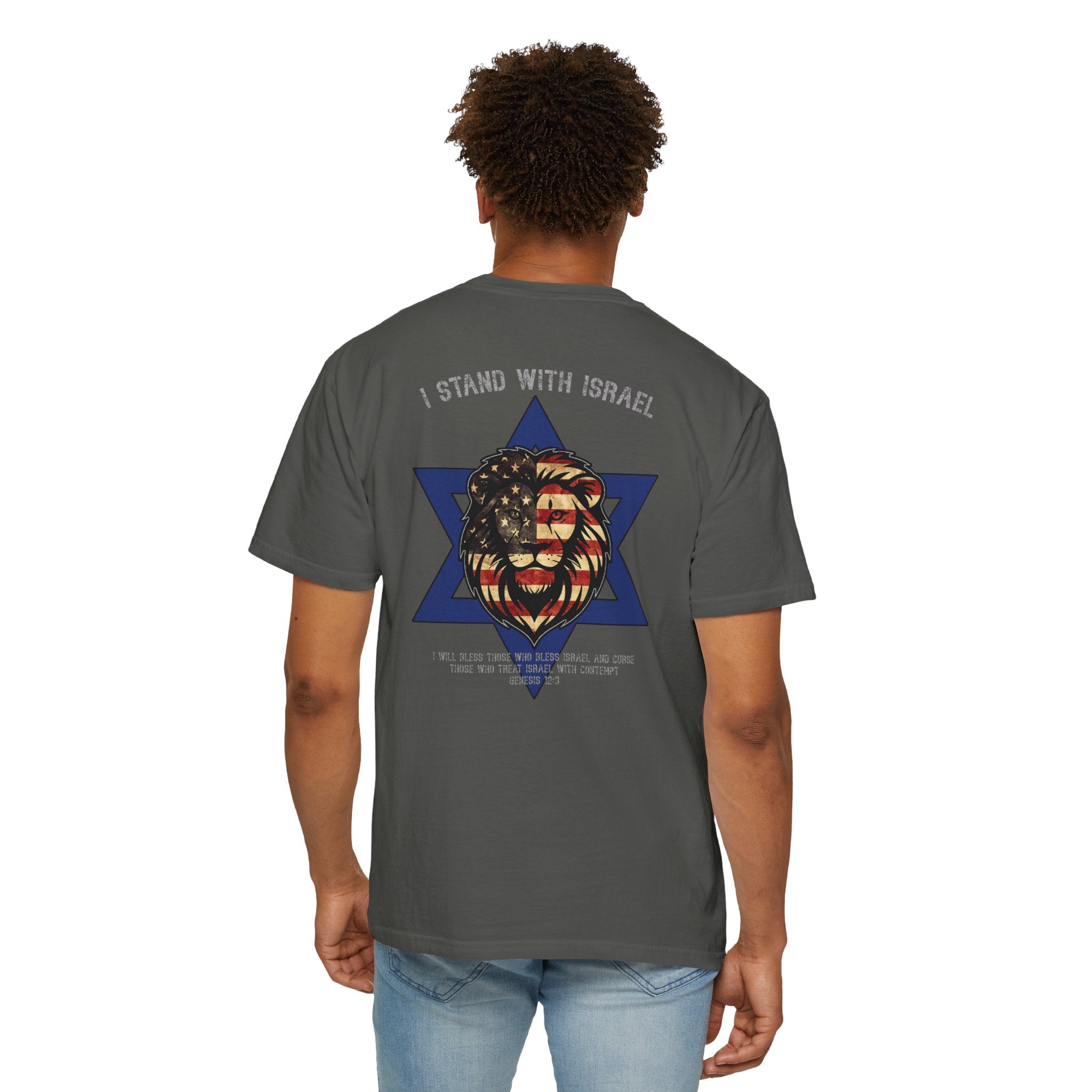I Stand With Israel Christian Shirt, Genesis 12:3 T-Shirt, Lion of Judah Israel Shirt, Christian Patriot Shirt, Redeemed Faith Apparel