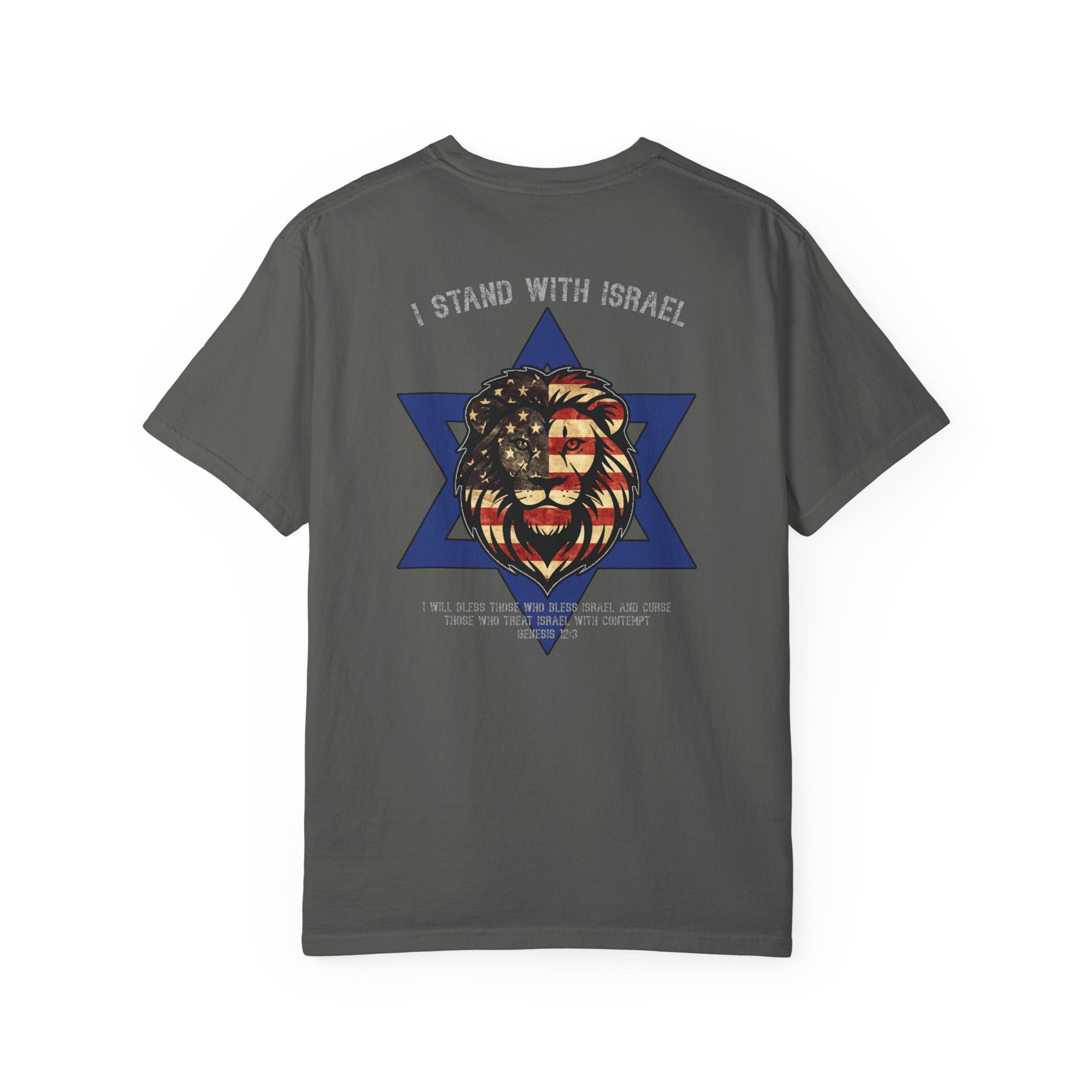 I Stand With Israel Christian Shirt, Genesis 12:3 T-Shirt, Lion of Judah Israel Shirt, Christian Patriot Shirt, Redeemed Faith Apparel