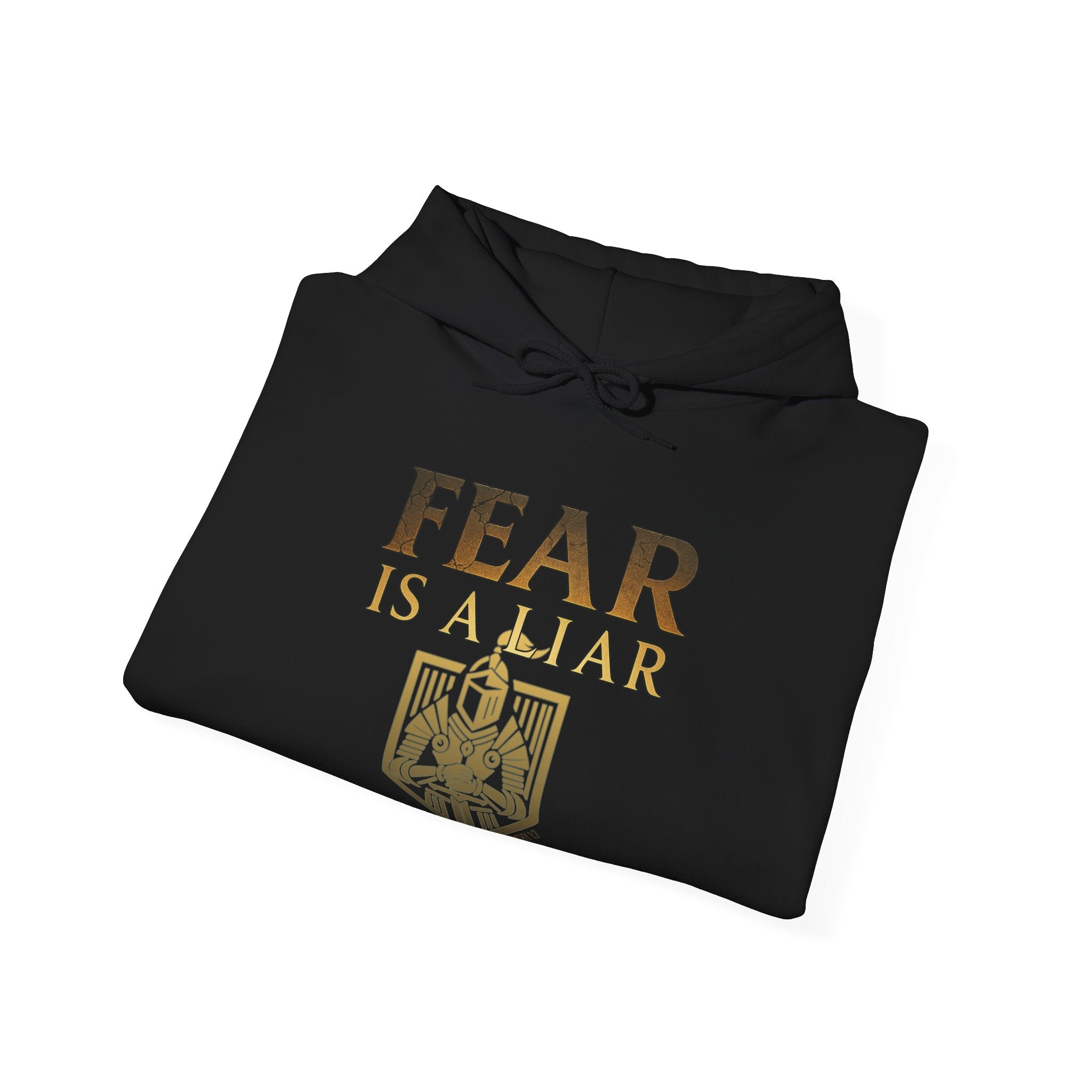 Fear Is A Liar Hoodie, Christian Encouragement Hoodie, Faith Over Fear Hoodie, Christian Hoodie for Women, Inspirational Gift, Redeemed Faith Apparel