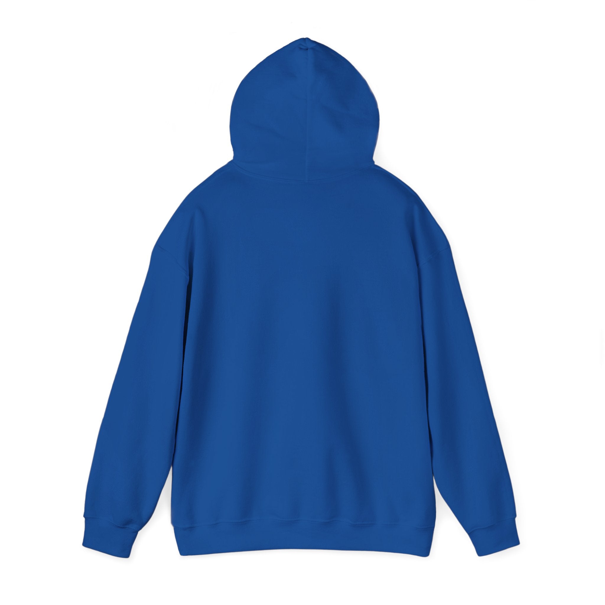 Fearfully and Wonderfully Made Hoodie, Psalm 139 14 Christian Hoodie, Inspirational Faith Hoodie, Gifts for Women, Redeemed Faith Apparel