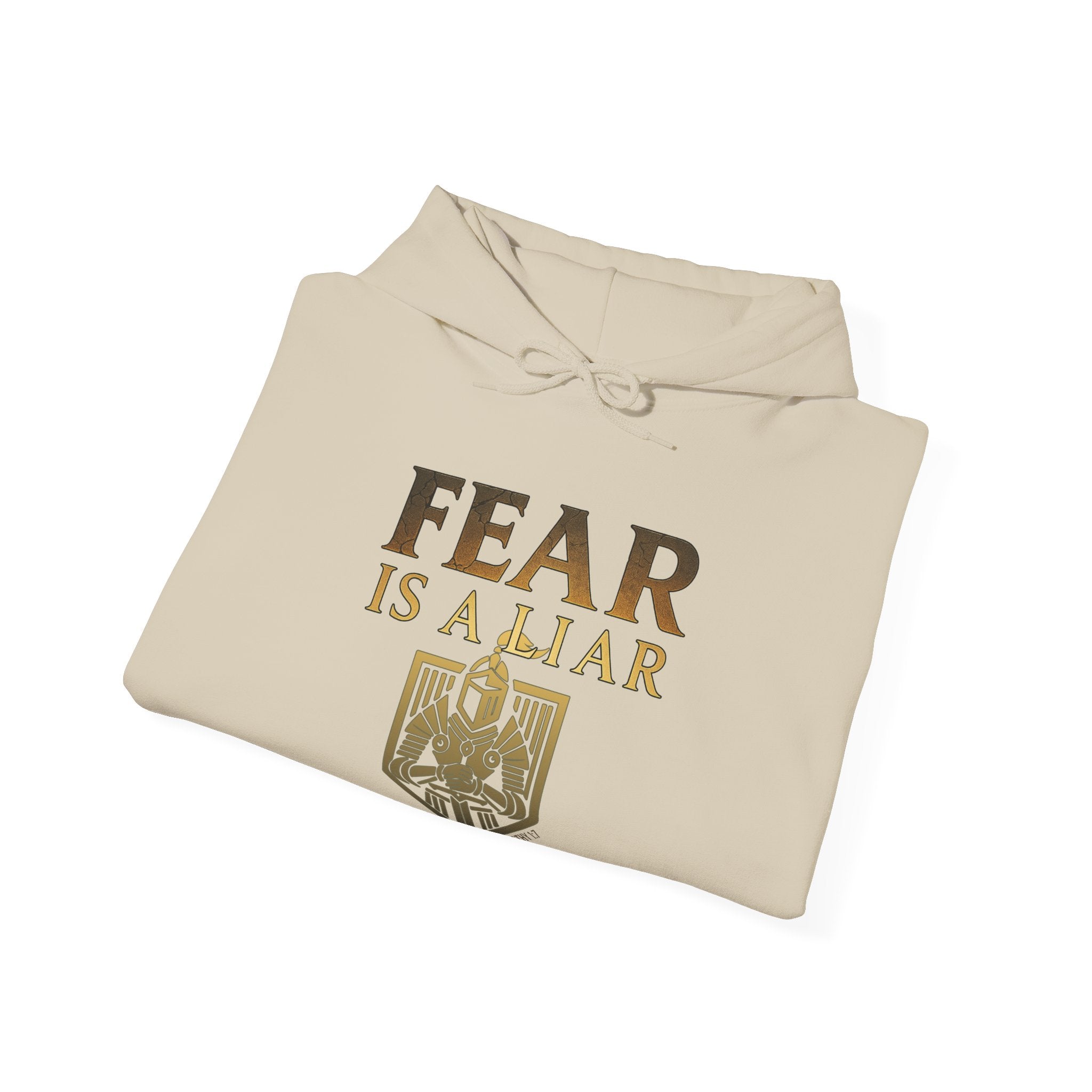 Fear Is A Liar Hoodie, Christian Encouragement Hoodie, Faith Over Fear Hoodie, Christian Hoodie for Women, Inspirational Gift, Redeemed Faith Apparel