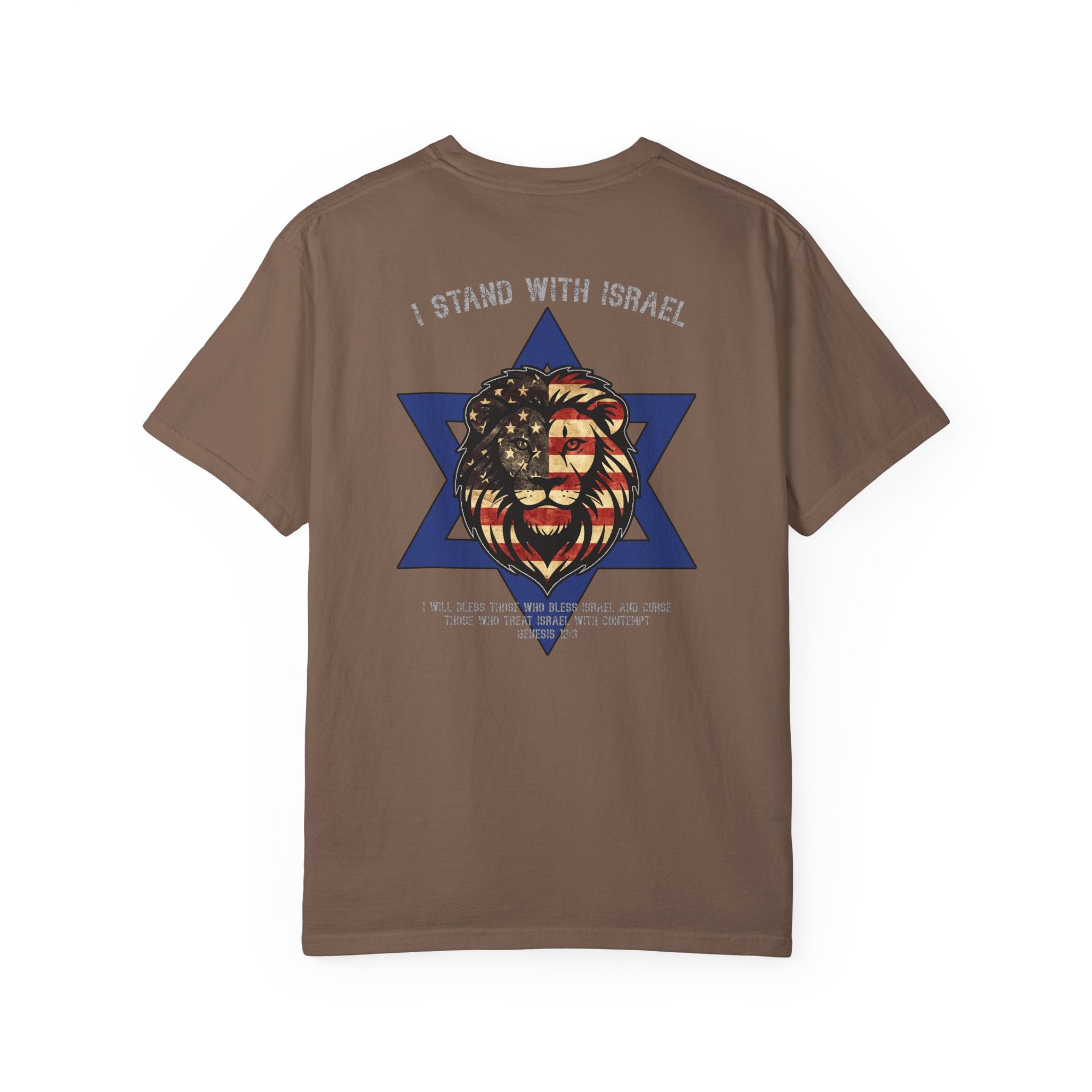 I Stand With Israel Christian Shirt, Genesis 12:3 T-Shirt, Lion of Judah Israel Shirt, Christian Patriot Shirt, Redeemed Faith Apparel