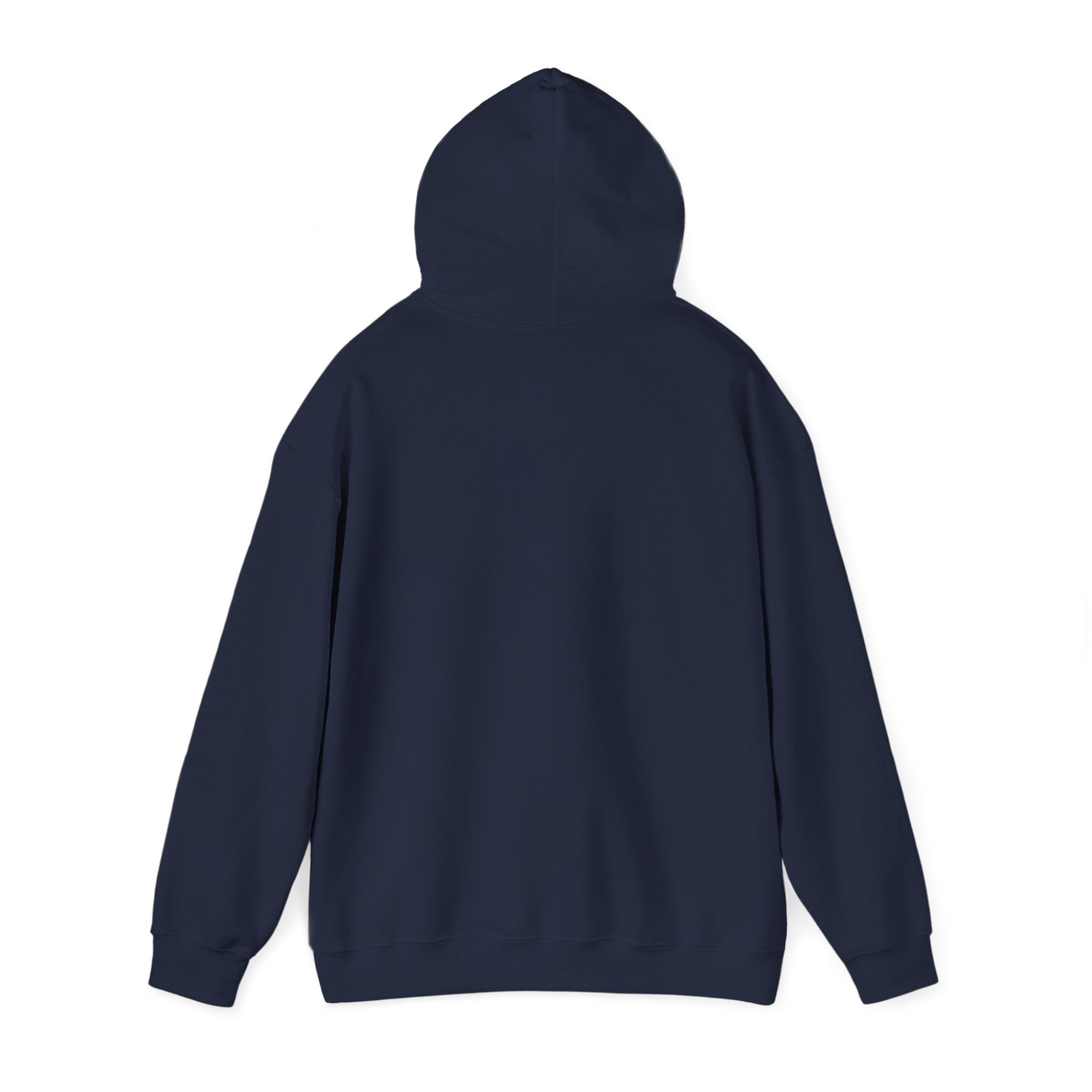 Fearfully and Wonderfully Made Hoodie, Psalm 139 14 Christian Hoodie, Inspirational Faith Hoodie, Gifts for Women, Redeemed Faith Apparel