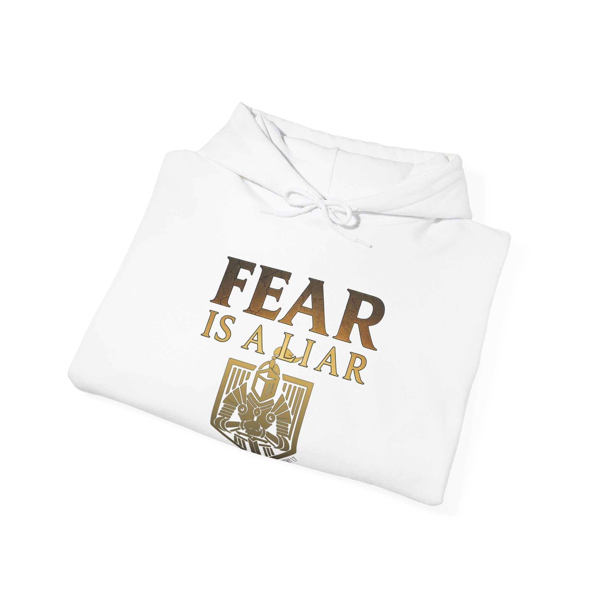 Fear Is A Liar Hoodie, Christian Encouragement Hoodie, Faith Over Fear Hoodie, Christian Hoodie for Women, Inspirational Gift, Redeemed Faith Apparel