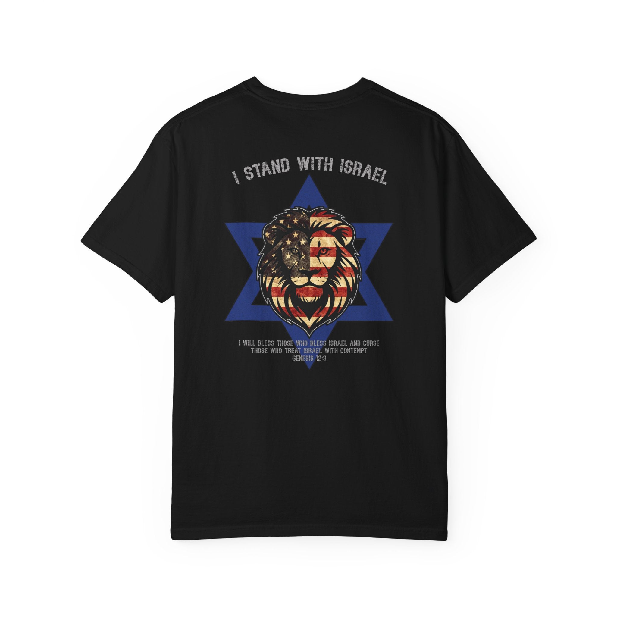 I Stand With Israel Christian Shirt, Genesis 12:3 T-Shirt, Lion of Judah Israel Shirt, Christian Patriot Shirt, Redeemed Faith Apparel