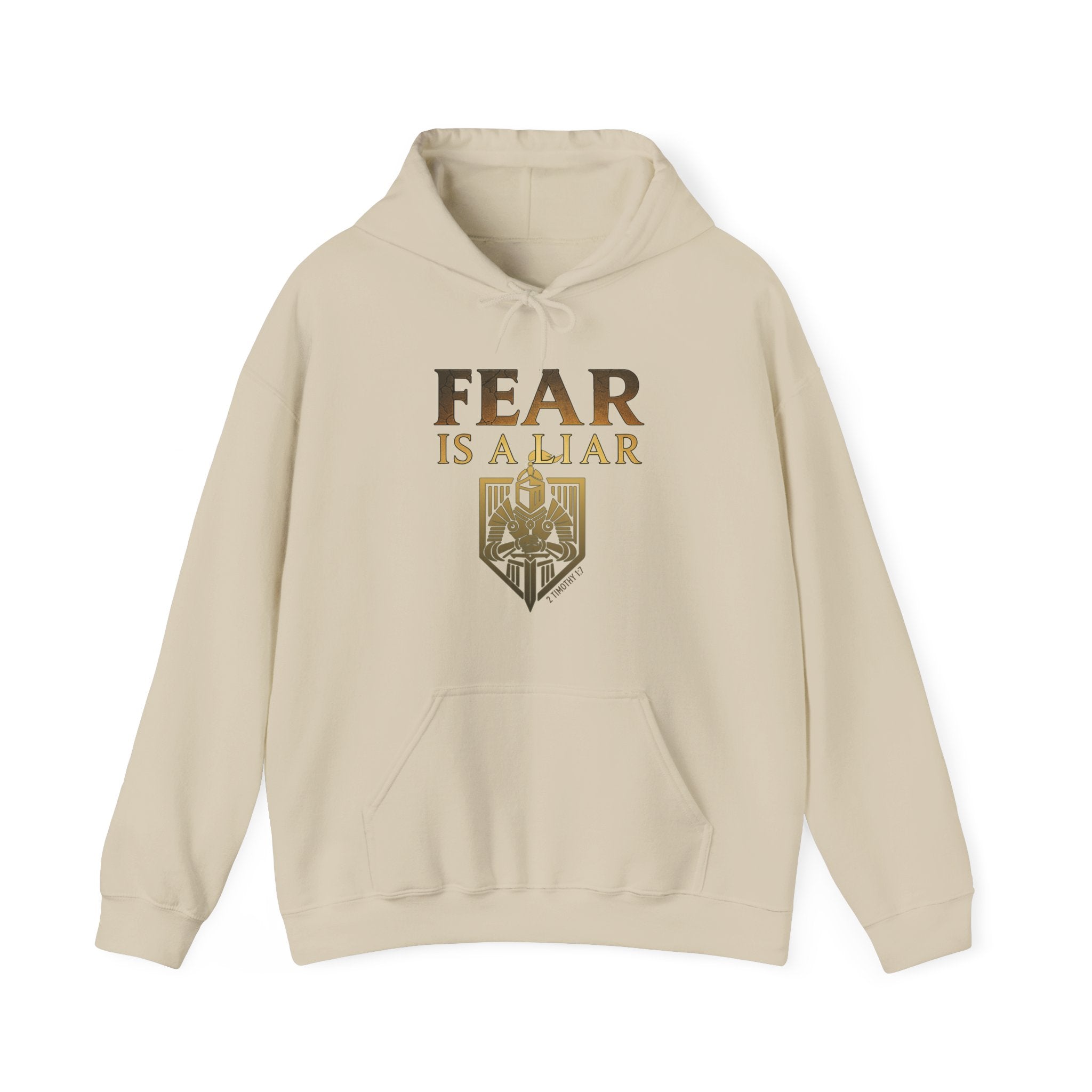 Fear Is A Liar Hoodie, Christian Encouragement Hoodie, Faith Over Fear Hoodie, Christian Hoodie for Women, Inspirational Gift, Redeemed Faith Apparel